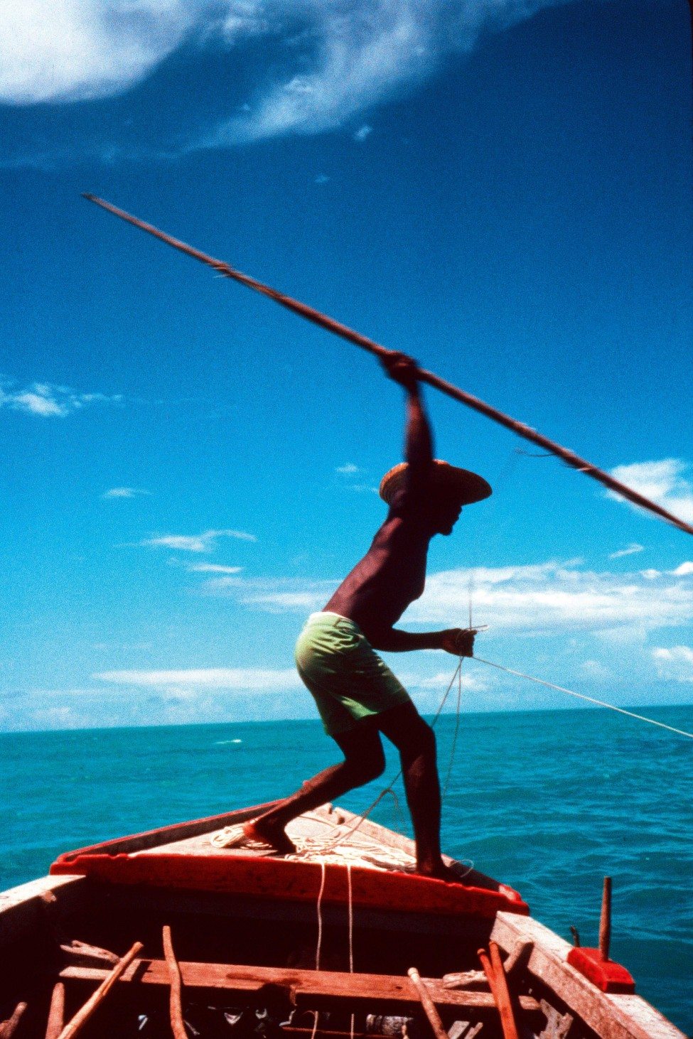 A turtle hunter aiming a harpoon at an adult green turtle at Cosmoledo Atoll in 1982. The harpoon head, which is attached to a cord held by the hunter, will enter the turtle's carapace and dislodge from the ‘baton’. The hunter will then reel in the turtle by the cord.<br />
Photo by Jeanne Mortimer
