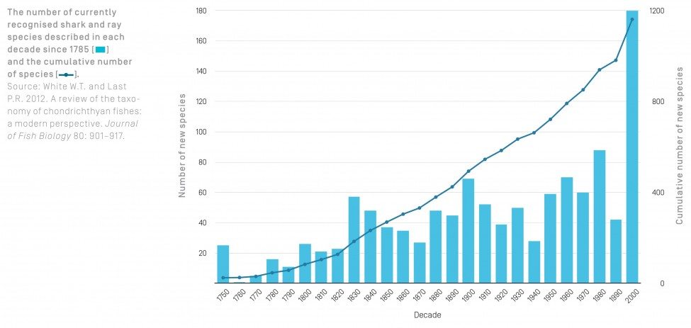The number of currently recognised shark and ray species described in each decade since 1785 and the cumulative number of species.<br />
Source: White W.T. and Last P.R. 2012. A review of the taxonomy of chondrichthyan fishes: a modern perspective. Journal of Fish Biology 80: 901–917.