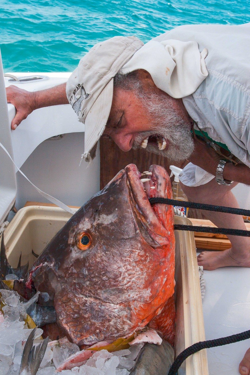 Samuel ‘Doc’ Gruber, the founder of the Shark Lab, gets up close with a snapper.<br />
Photo by Matthew Potenski