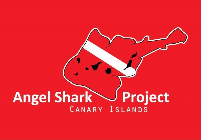 AngelSharkProject-Logo