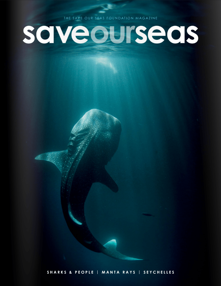 #1 Sharks & People | Manta Rays | Seychelles